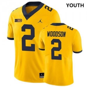 #2 Charles Woodson Michigan Wolverines College Football Youth(Kids) Jersey - Yellow