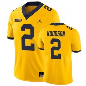 #2 Charles Woodson Michigan Wolverines Alumni Football Game Men Jersey - Yellow